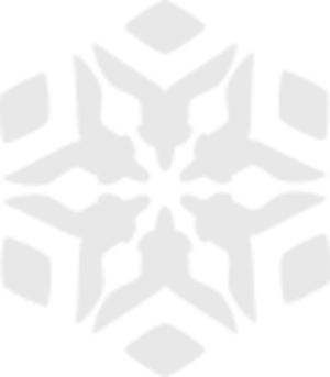 Overwatch Winter Wonderland Logo.svg